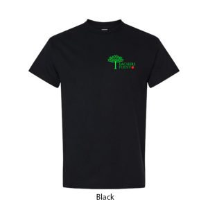 T-Shirt - Teachers First